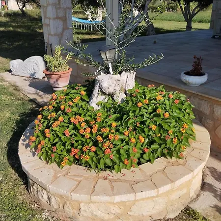 Jenny's House Tatil Evi Áyios Kírikos