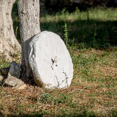 Jenny's House Tatil Evi