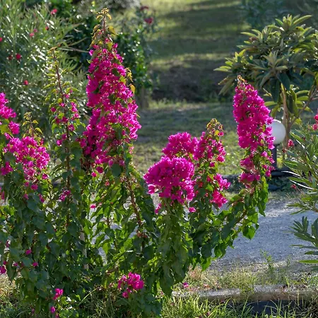 Tatil Evi Jenny's House Áyios Kírikos