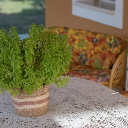 Jenny's House * Áyios Kírikos