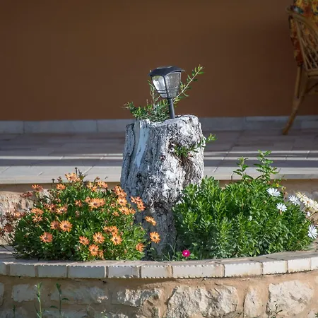 Jenny's House Tatil Evi *